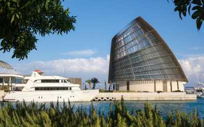 Wycieczka z Pafos w kierunku Ayia Napa Marathon z Lefkarą, odrobiną wina i oliwy